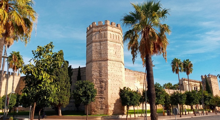 Free Tour From Islamic Origin to Jerez de los Bodegueros, Spain