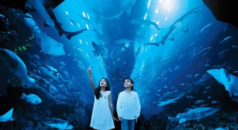 Zoo y acuario submarino de Dubai Mall con traslado