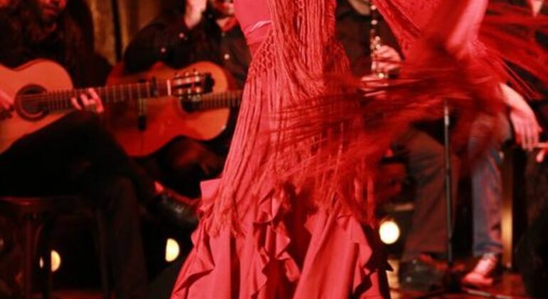 Nuit exclusive de tapas et de flamenco Fournie par Not Just a Tourist