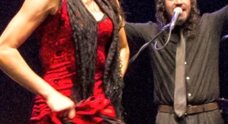 exclusive-tapas-and-flamenco-night-es-2