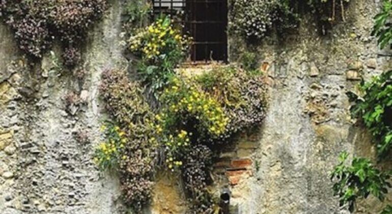 Hiking Granada’s River Spain — #2