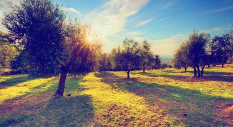 Hiking Granada’s River Spain — #6