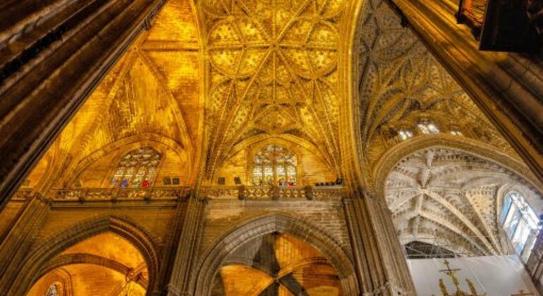 Private Guided Visit of Alcazar and Cathedral Spain — #5