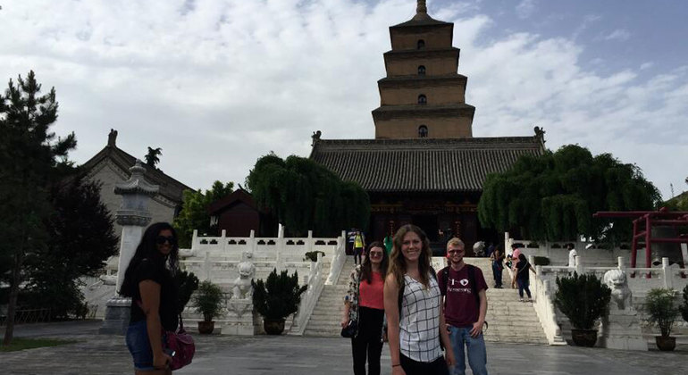 Visita privada de medio día al Museo de Historia y la Pagoda del Gran Ganso Salvaje Operado por YesTrips Travel Service