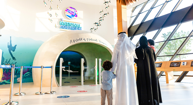 Das National Aquarium Abu Dhabi mit Transfer
