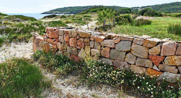 Visita a pie de Olbia, Italy