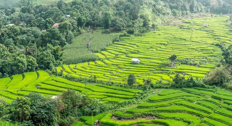 Visite à pied de Chiang Mai, Thailand