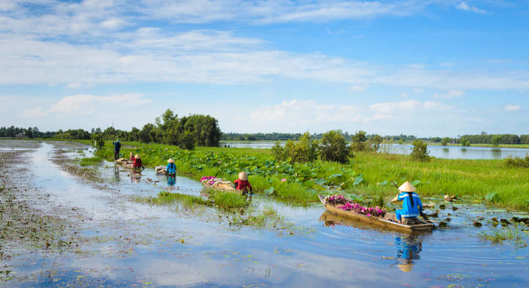 Excursão VIP ao Delta do Mekong a partir da cidade de Ho Chi Minh com transporte em limusina Organizado por Vietnam Adventure Tours