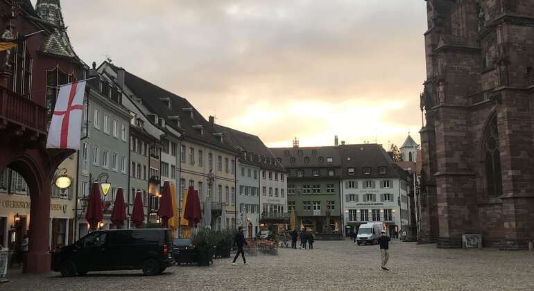 Freiburg Walking Tour - História e Geologia Regional, Germany