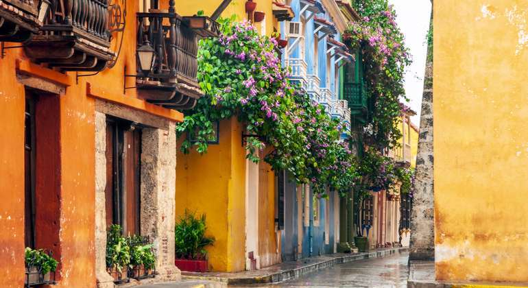 Cartagena Tour Cultural Privado para Cruzeiros Organizado por Free steps