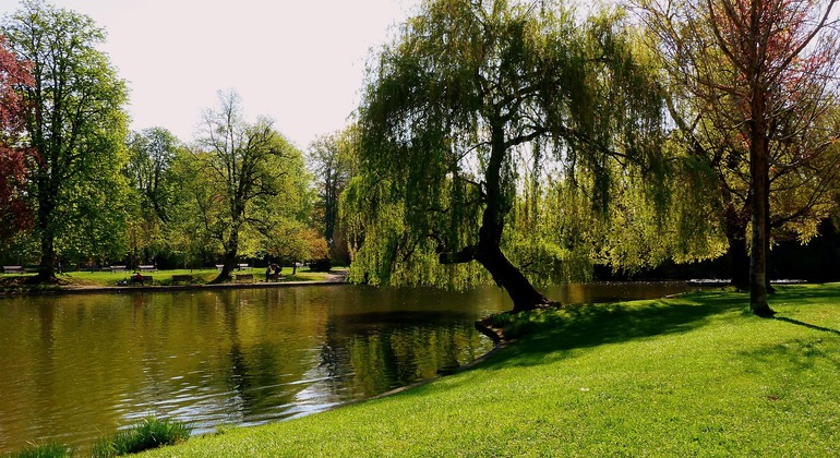 strasbourg-bike-tour-es-1