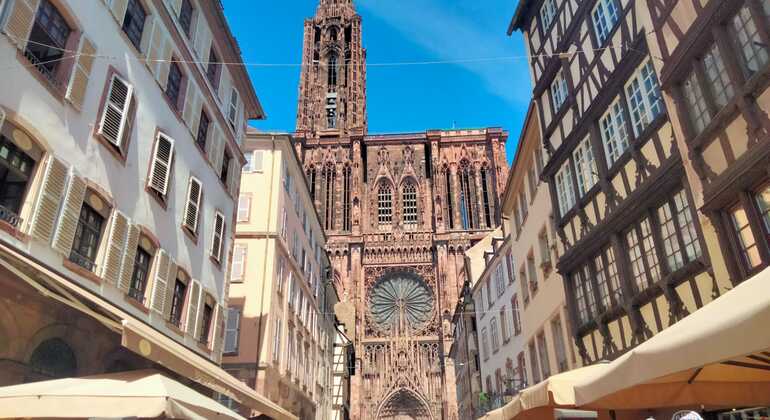 strasbourg-bike-tour-es-7