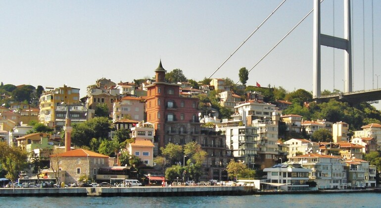 Crucero privado por el Bósforo con el Dr. Sib Turquía &mdash; #8