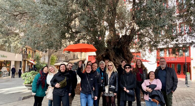 Passeio pedestre gratuito em Maiorca Espanha — #2