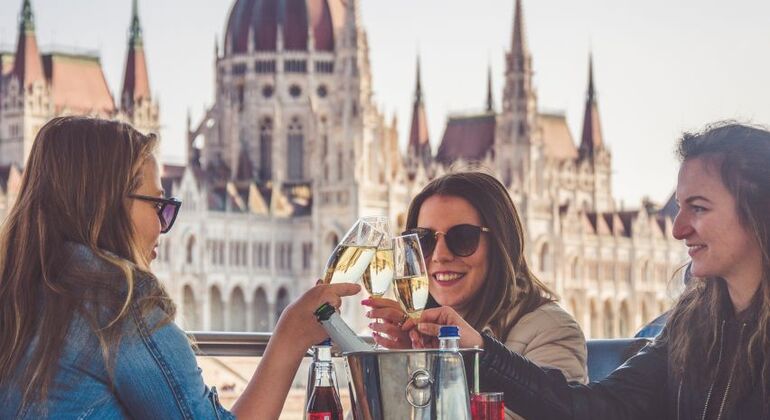 Unlimited Booze Cruise Downtown Budapest
