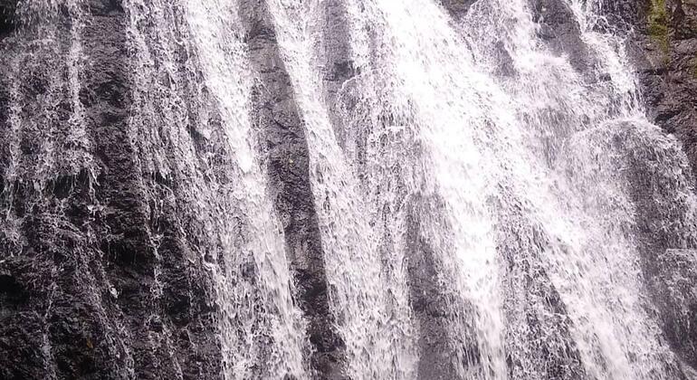 Waterfall "La Lechería" Tour Provided by Golfito Free Tours