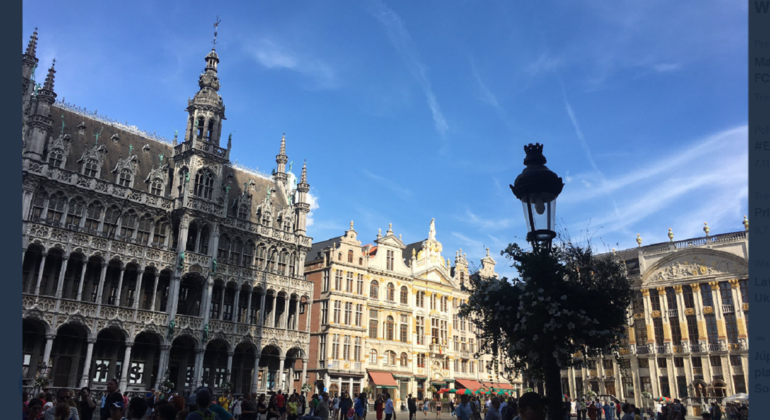 Visite à pied de l'histoire de Bruxelles