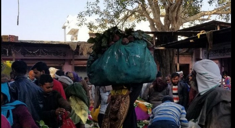 Paseos gratuitos por Jaipur