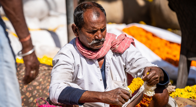 The pink City Haritage Walk Jaipur: Free Tour with a Local, India