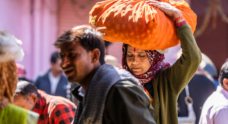 The pink City Haritage Walk Jaipur: Free Tour with a Local India — #2