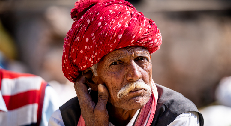 The pink City Haritage Walk Jaipur: Free Tour with a Local India — #3