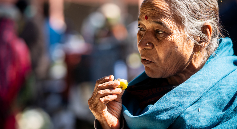 The pink City Haritage Walk Jaipur: Free Tour with a Local India — #4