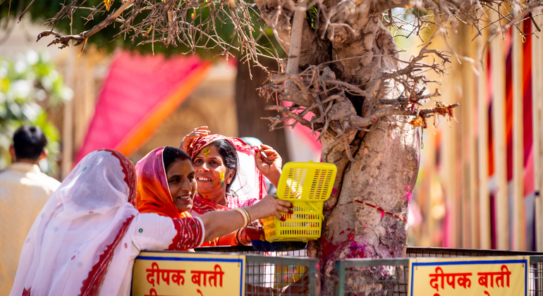 The pink City Haritage Walk Jaipur: Free Tour with a Local India — #5