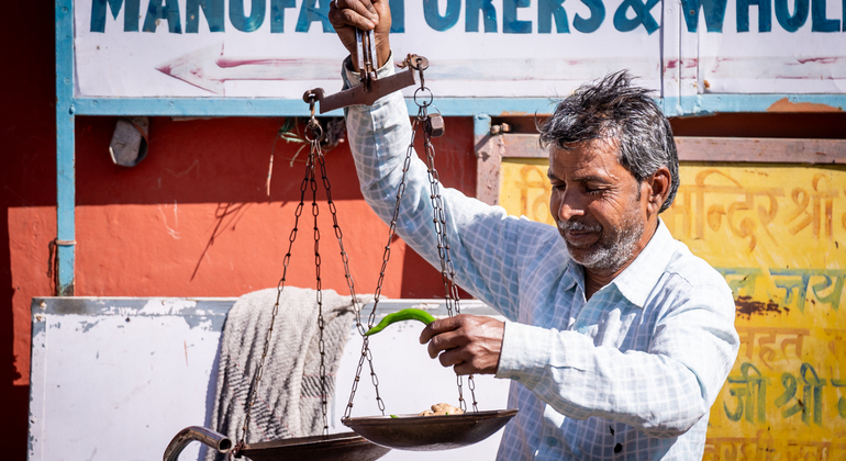 The pink City Haritage Walk Jaipur: Free Tour with a Local India — #7
