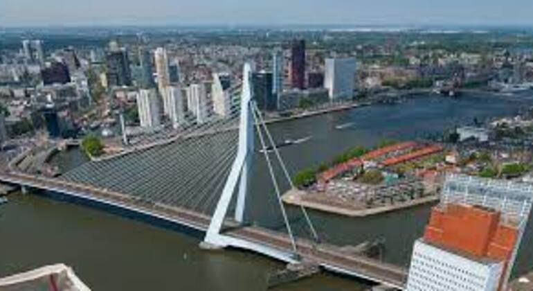Excursion quotidienne à pied dans la ville de Rotterdam et ses environs (Kinderdijk), Netherlands