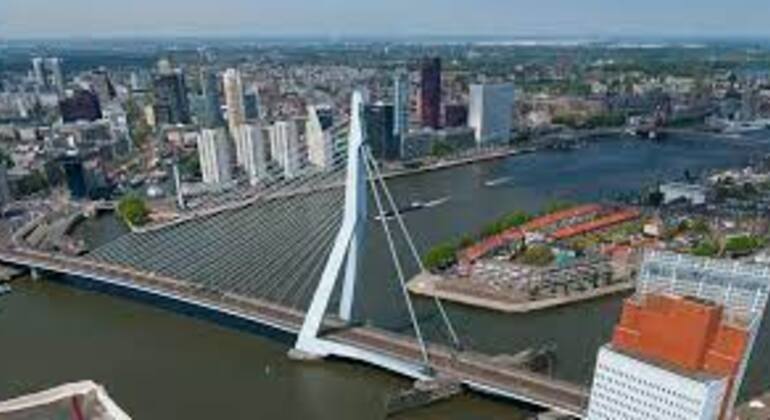 Tour giornaliero a piedi di Rotterdam e dintorni (Kinderdijk), Netherlands