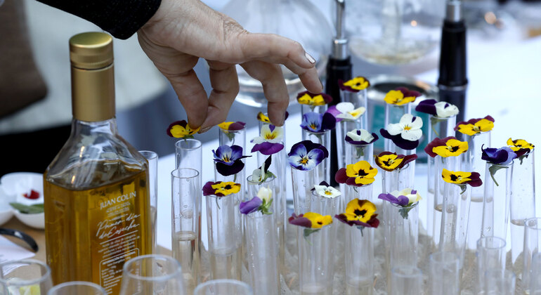 cordoba-olive-oil-tasting-breakfast-es-1