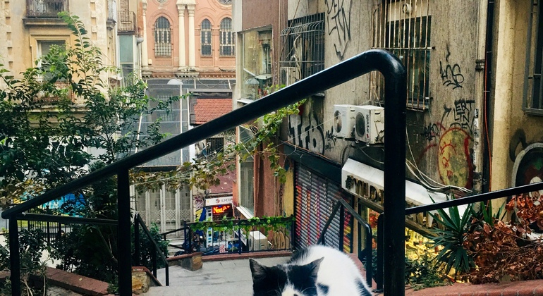 Tour por la Ciudad Moderna de Estambul: Taksim a Galata con Pasaje Turquía — #22