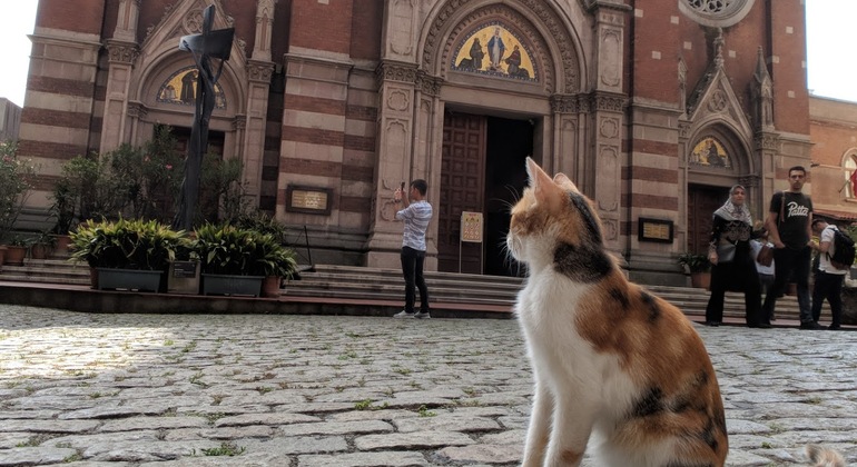 Tour por la Ciudad Moderna de Estambul: Taksim a Galata con Pasaje Turquía — #3