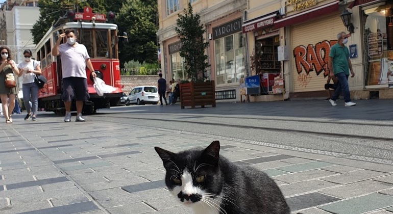 Tour por la Ciudad Moderna de Estambul: Taksim a Galata con Pasaje Turquía — #6