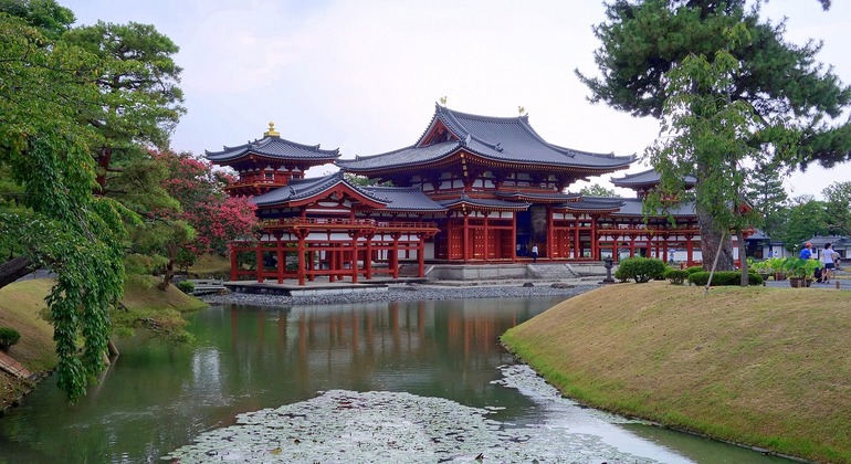 Visite de la ville de Kyoto et de Nara avec un guide privé Fournie par Shan Rose