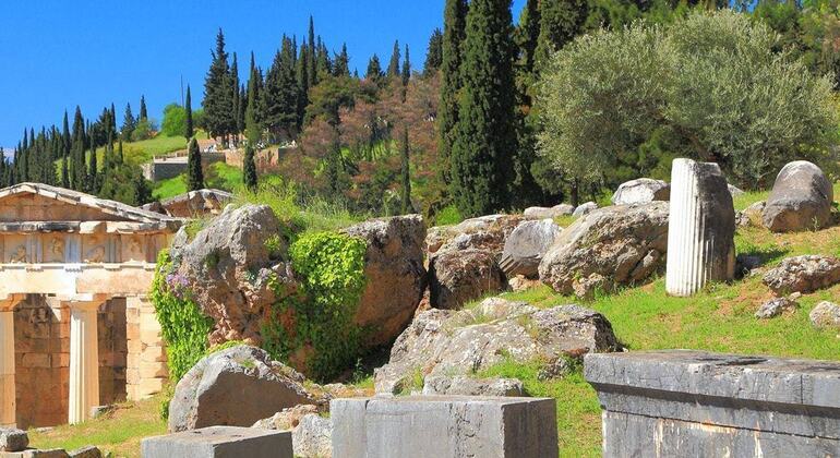 delphi-one-day-trip-from-athens-summer-es-5