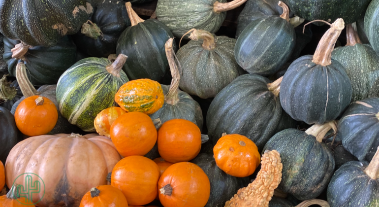 Day of the Dead - How is it Celebrated? Mexico — #5