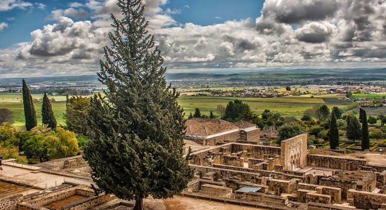 Official Free Day & Night Tour Córdoba Spain — #10