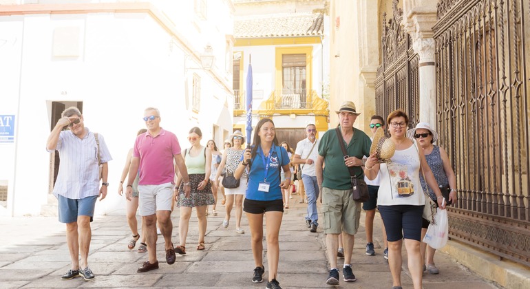 Official Free Day & Night Tour Córdoba Spain — #5