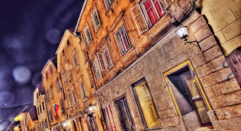 Ljubljana: História, Cultura e Cantos Escondidos Tour com Snacks Eslovénia — #2