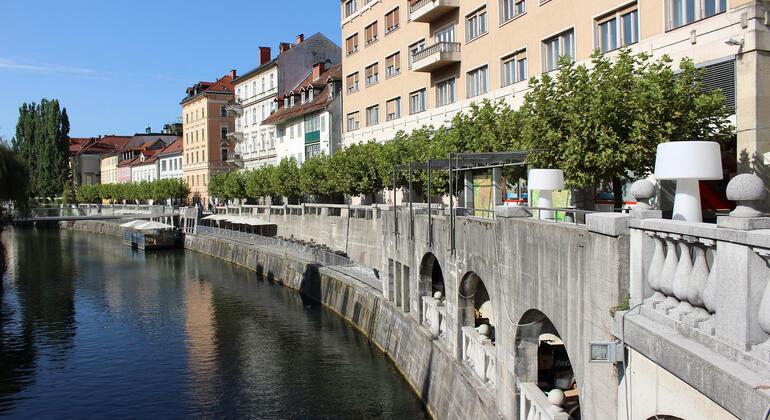 Ljubljana: História, Cultura e Cantos Escondidos Tour com Snacks Eslovénia — #4