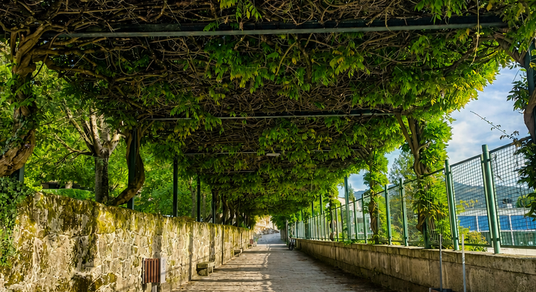 Free-Tour-Descubre-Allariz-8
