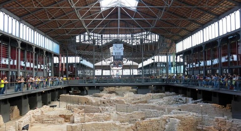 visita visual data 7