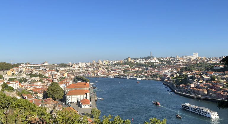 the-sinister-porto-creepy-stories-of-the-city-en-5