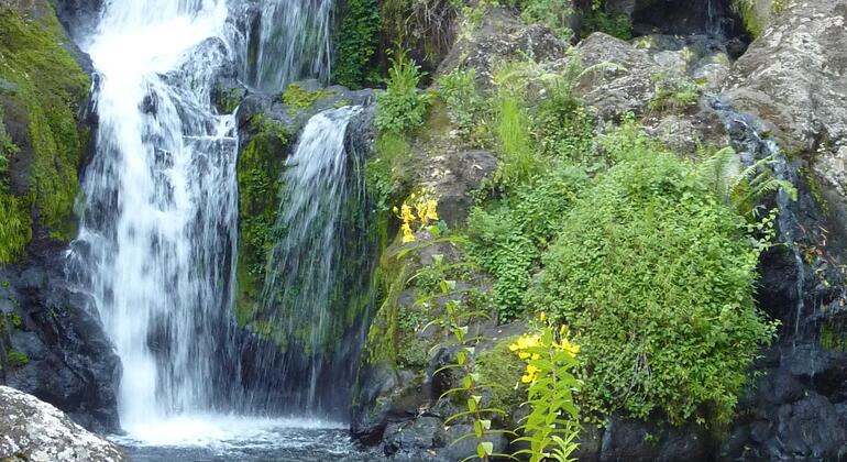 Marangu Full Day Tour Provided by ALBERT MTUI