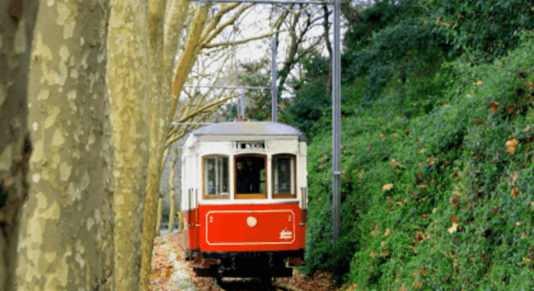 Tour delle meraviglie di Sintra e della costa