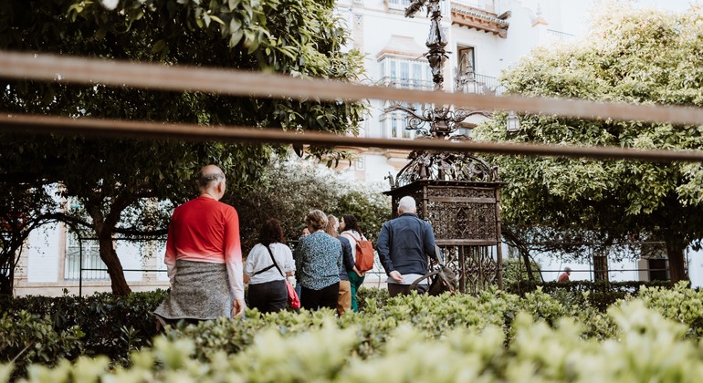 Sevilla Santa Cruz Nachbarschaftstour Spanien — #11
