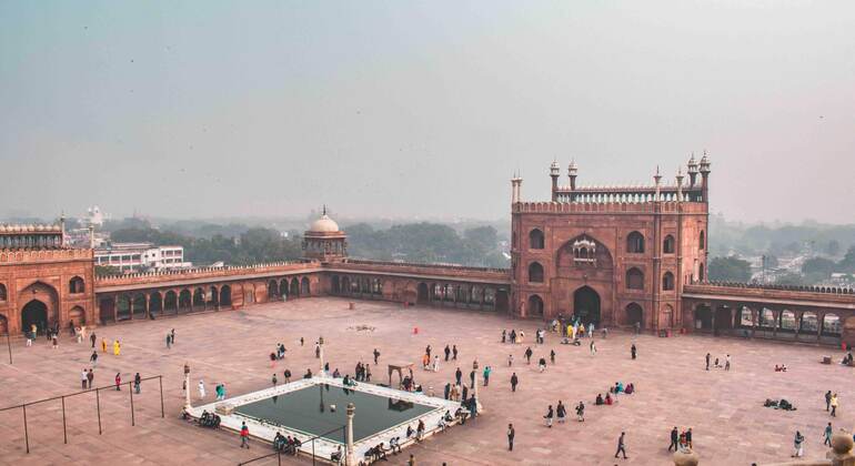 Old Delhi Walk: Jama Masjid, Spice Market, Sikh Temple & Rickshaw Ride