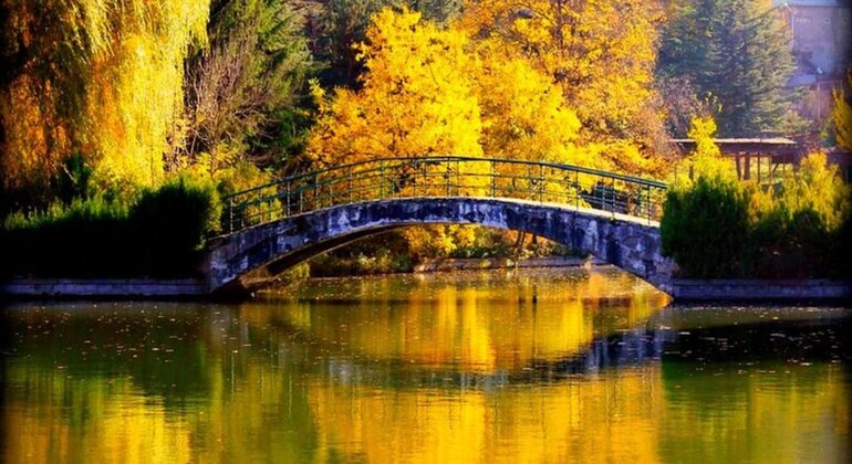 Visita al verde di Dilijan Fornito da Gregory