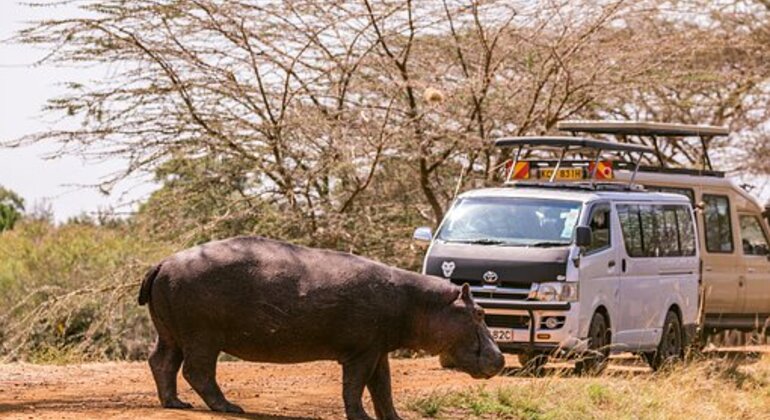 Safari a Nairobi Kenya &mdash; #3